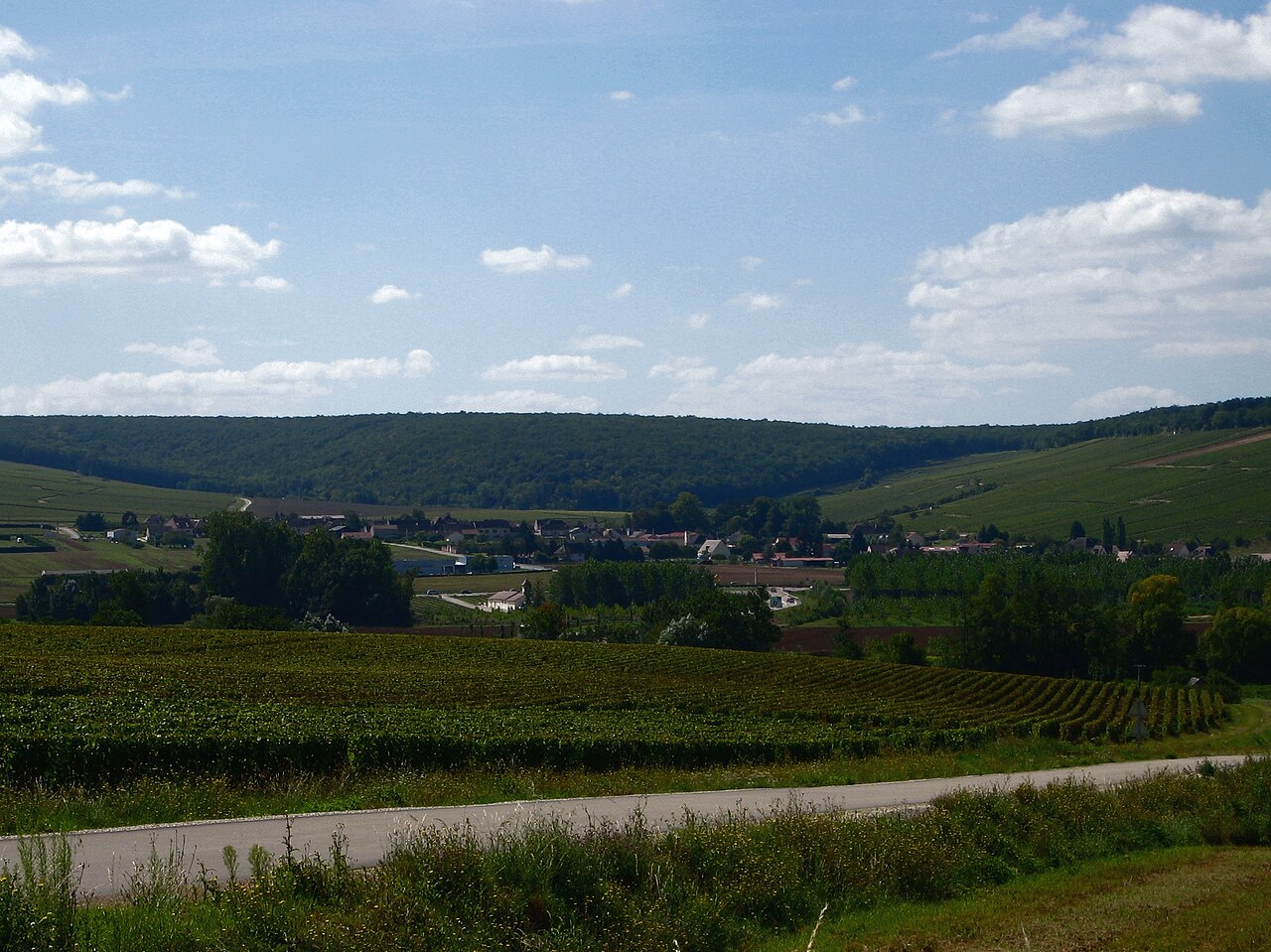 Chablis village and the Premier Cru Vaulorent vineyard slope