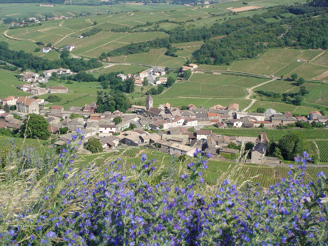 The village of Solutré beneath its rock, in the Pouilly-Fuissé area