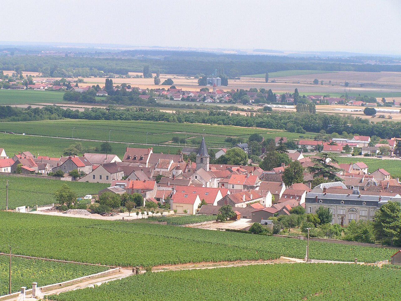 Vineyards of Vosne-Romanée in the Côte de Nuits