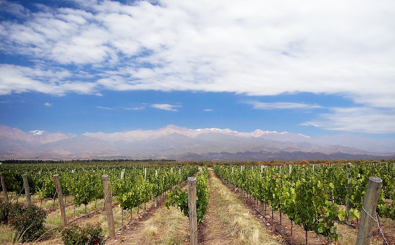 Chile & Argentina by Wine: Pacific to the Andes to Buenos Aires