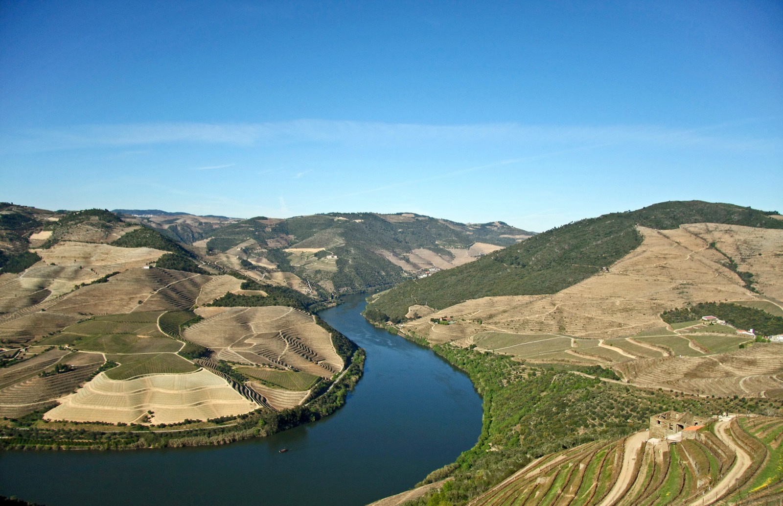 Terraced vineyards above the Douro river